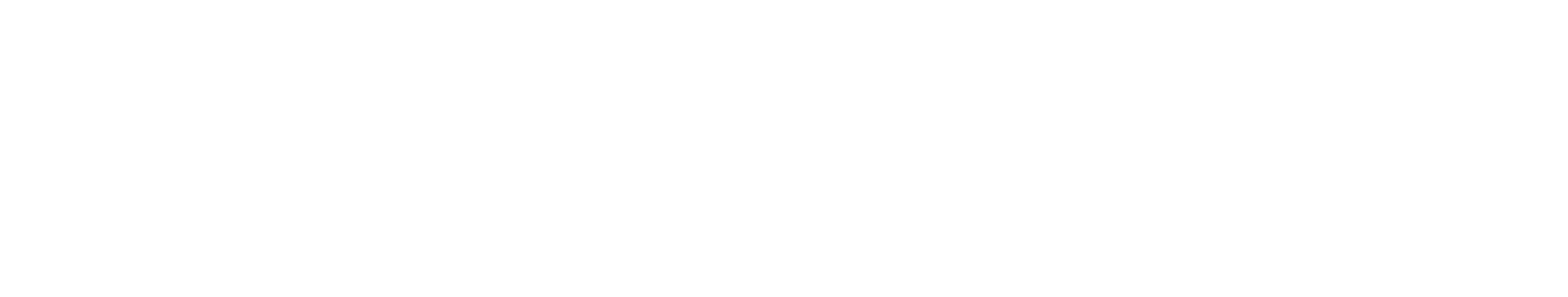 footer-logo